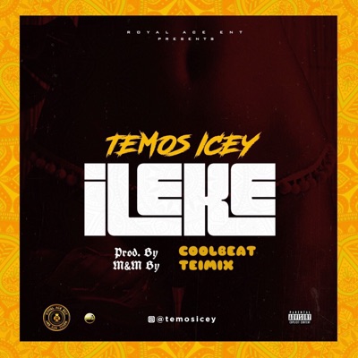 Ileke - Single