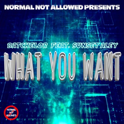 What You Want (feat. Sunset Aley) - Single