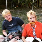 The Haynes