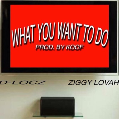 What You Wanna Do (feat. Ziggy Lovah) - Single