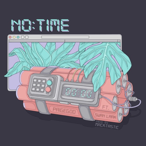 No Time (feat. Swan Laak)