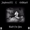 Wait for You (feat. Cold Hart) - Single