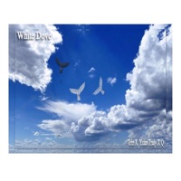 White Dove (feat. Q & Yxurstruly) - Single - Trin