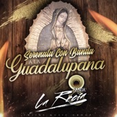 La Guadalupana artwork