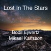 Lost In the Stars - Single