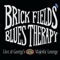 Changing Tides - Brick Fields lyrics