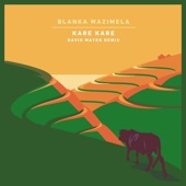 Kare Kare (feat. David Mayer) [David Mayer Remix] artwork