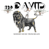 Modern Music From Belize - Bro David