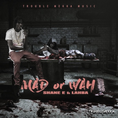 Mad or Wah (feat. Lahba) - Single
