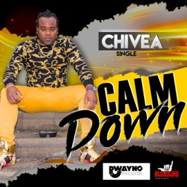Calm Down (Radio Edit) Chivea