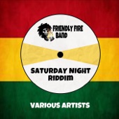 Friendly Fire Band & Mr. Williamz - Saturday Night (Reggae Version)