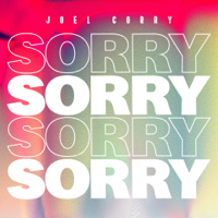 Joel Corry - Sorry artwork