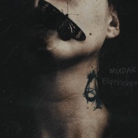 Твои шрамы - Single - MUDAK & Elicthebet