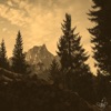 Nature Sepia