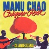 Manu Chao