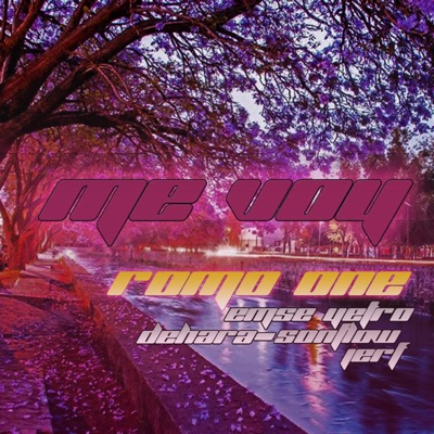 me voy (feat. Romo One & jerf) - Single