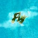 Fly Island Single