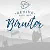 Biruitor