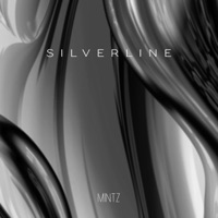 Silverline - Single - Mintz