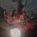 Colorblind