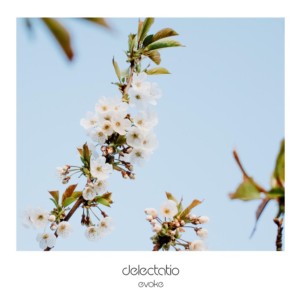 Обложка альбома «Evoke - Single» — Delectatio