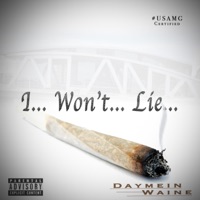 I Won't Lie - Single