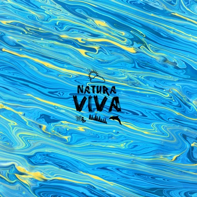 Viva 2022.2