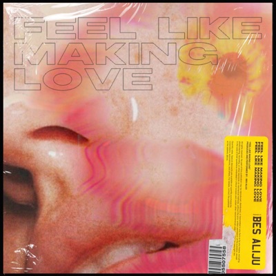 Feel Like Making Love - Single