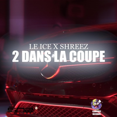 2 Dans La Coupe (feat. Shreez) - Single