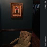 Scott Was Here - Willebrant