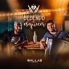 Bebendo pra Esquecer (feat. Saia Rodada) - Single