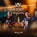 Bebendo Pra Esquecer