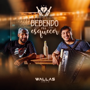 Bebendo pra Esquecer (feat. Saia Rodada) - Single