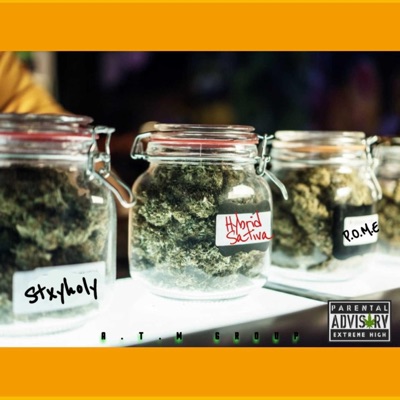 Hybrid Sativa Flow (feat. P.O.M.E) - Single