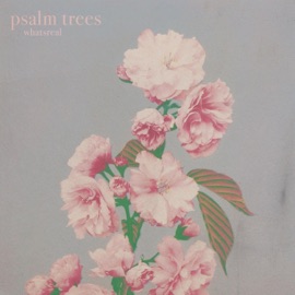Whatsreal Psalm Trees