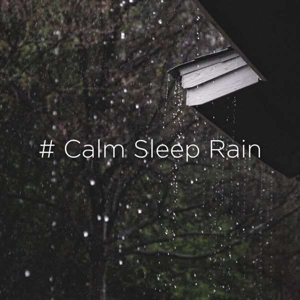 # Calm Sleep Rain