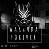 Wakanda Forever - Single