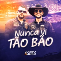 Nunca Vi Tão Bão - Single - Gustavo e Matteo