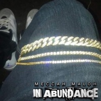 In Abundance ($killz Diss) - Single - Meccah Maloh