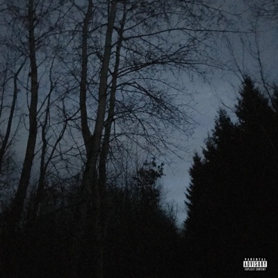 all alone. (feat. Conniex) - Single