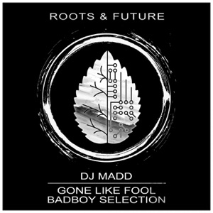 Gone Like Fool / Badboy Selection - Single