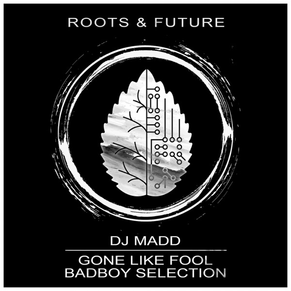 Gone Like Fool / Badboy Selection - Single