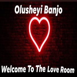 Welcome to the Love Room Olusheyi Banjo