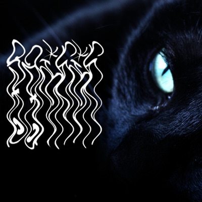 Blvck Cvts (feat. D/Rose) - Single