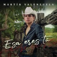Esa Eres Tú - Single - Martin Valenzuela
