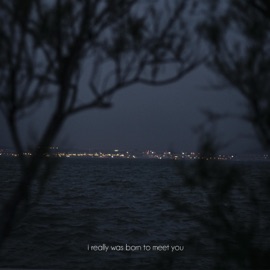 I Really Was Born to Meet You Limerence