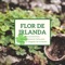 A Terra do Shamrock - Alma Irlandesa lyrics