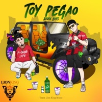 Toy pegao - Single - Relax Boys
