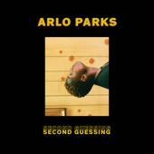Second Guessing artwork