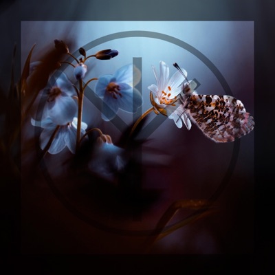 Butterfly - Single
